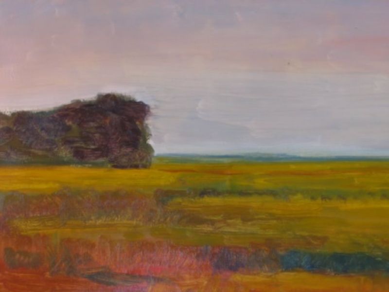 Click here to view Salt Meadow, Sandy Neck by Jerome Schwartz