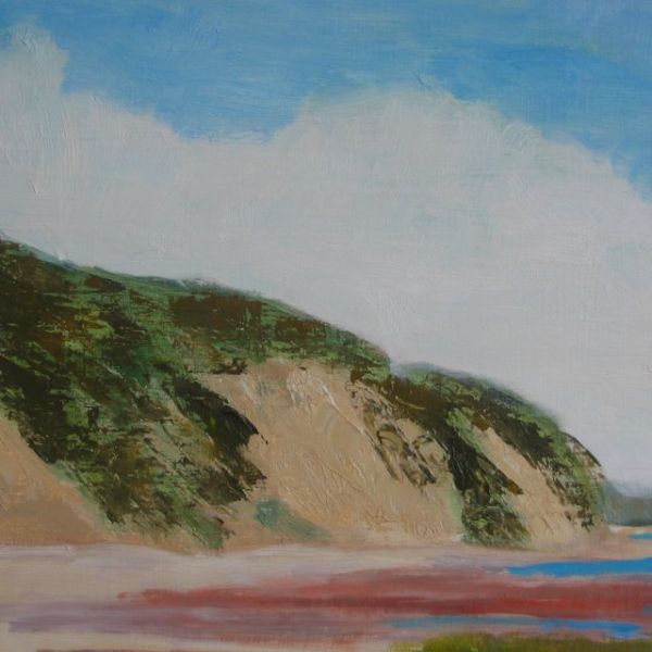 Dune at Great Island by Jerome Schwartz