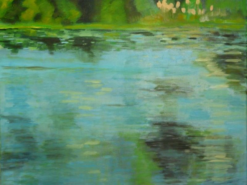 Click here to view Black Pond IV by Jerome Schwartz